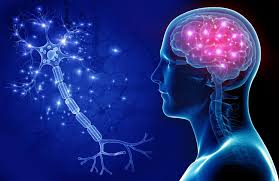 Neurology - Hill Candy Hospital