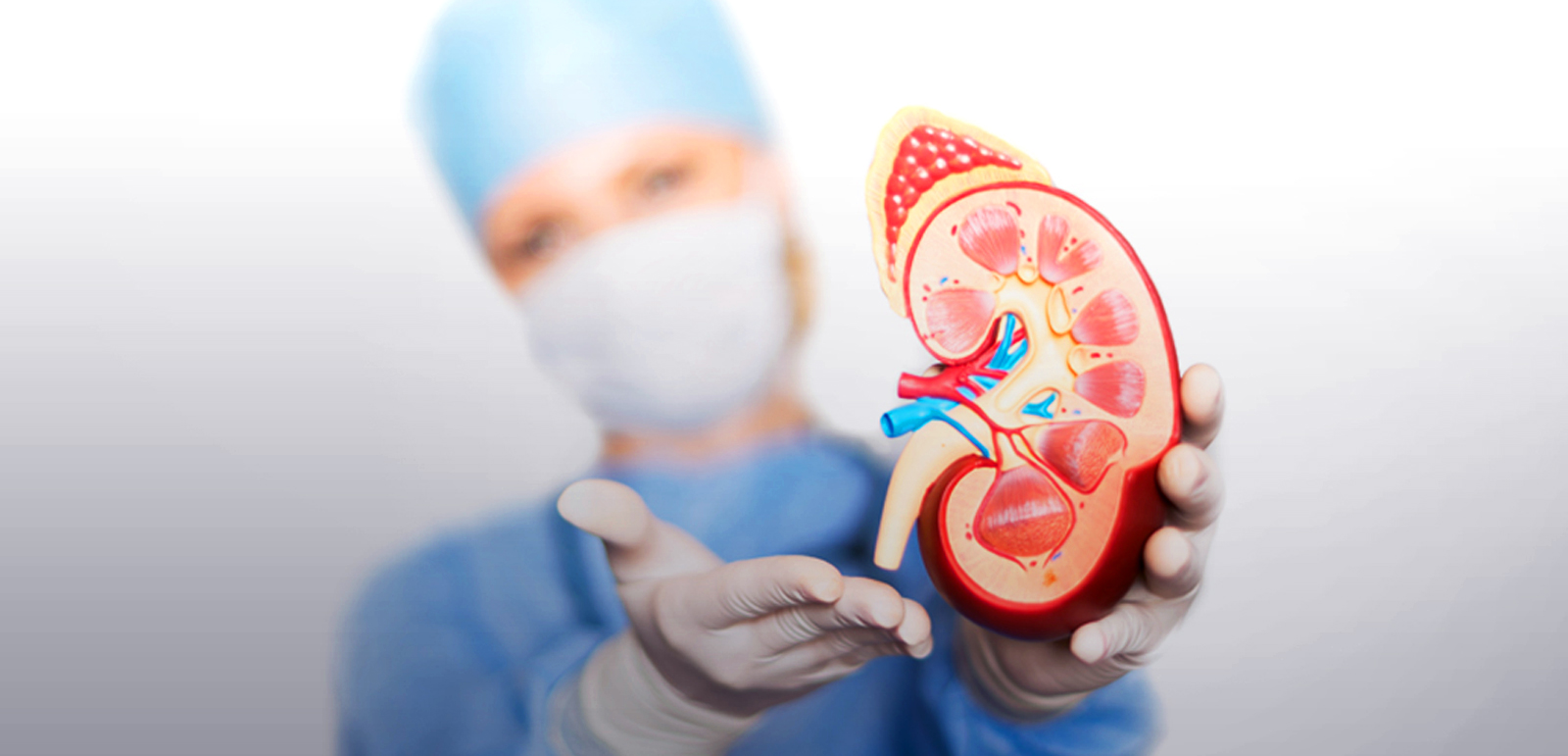 Nephrology - Hill Candy Hospital